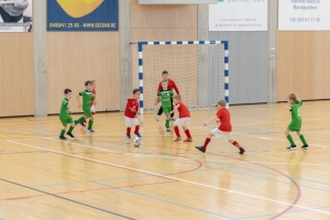 _MG_2898-Avec accentuation-Bruit.jpg